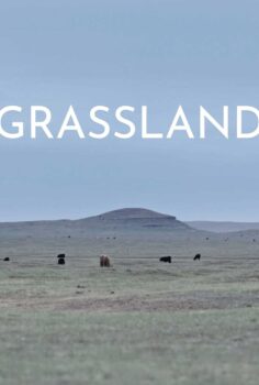 Grassland İzle